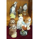 A collection of nine Beswick Beneagles Scotch whisky bird bottles, mainly birds of prey and owls,