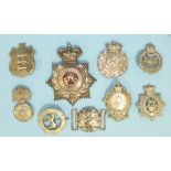 An Oxfordshire Regiment cap badge, a Mine Clearance Service cap badge, six others and a Royal Navy