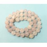 A necklace of forty-four uniform large rose quartz beads, with silver clasp, 83cm.