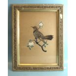 An early-20th century feather collage picture depicting a Northern Flicker (American Woodpecker),