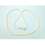 A necklace of graduated cultured pearls, with 9ct white gold bow clasp set rose-cut diamond, 43cm