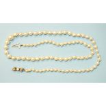 A string of graduated cultured pearls with silver clasp, 56cm long.