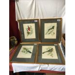 SET 4 BIRD PRINTS