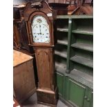 GRANDFATHER CLOCK (AF)