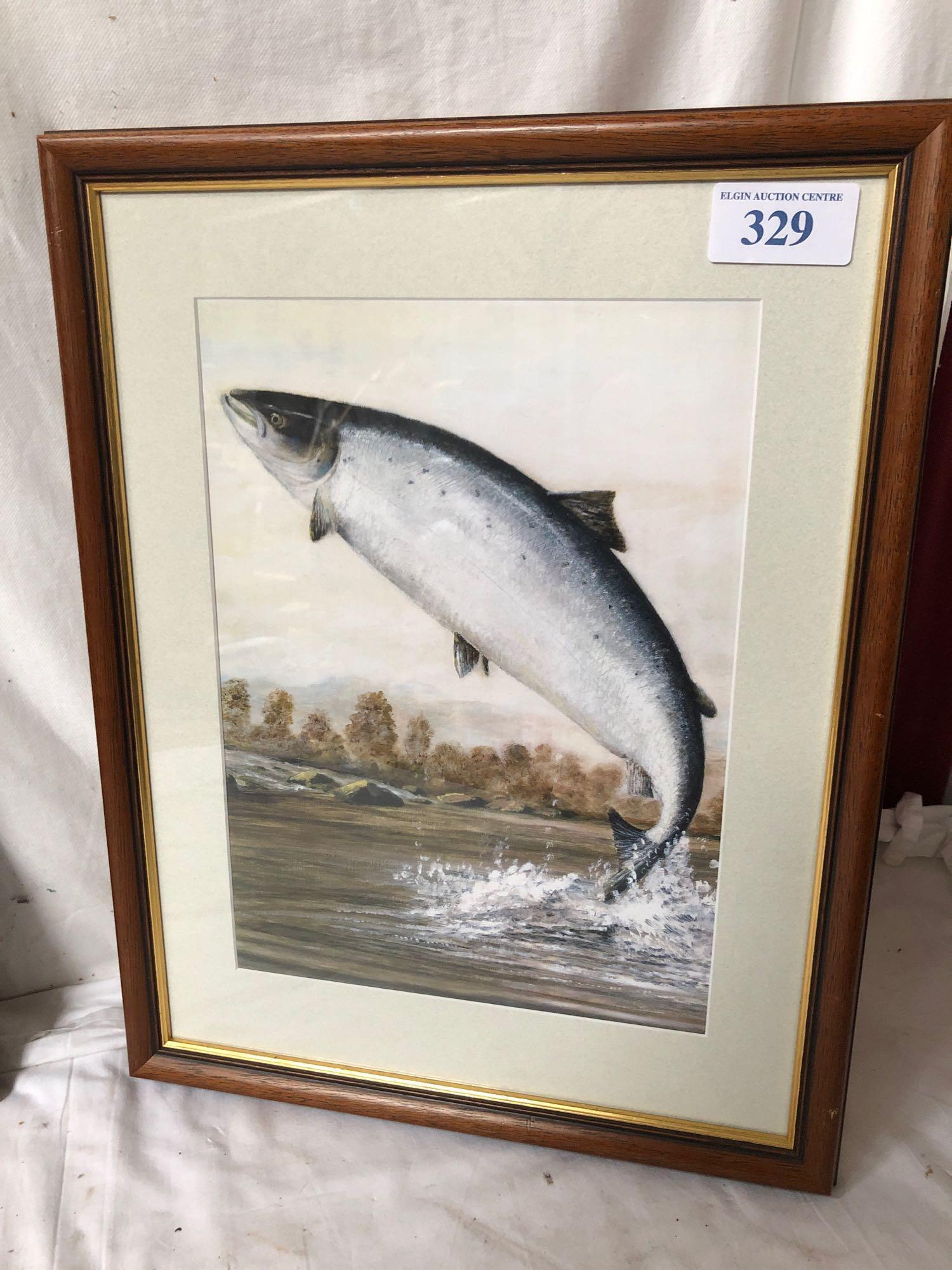 FRAMED PRINT LEAPING SALMON