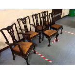 6 MAHOGANY DINING ROOM CHAIRS