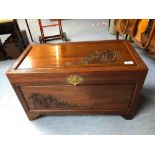 ORIENTAL CAMPHOR TRUNK