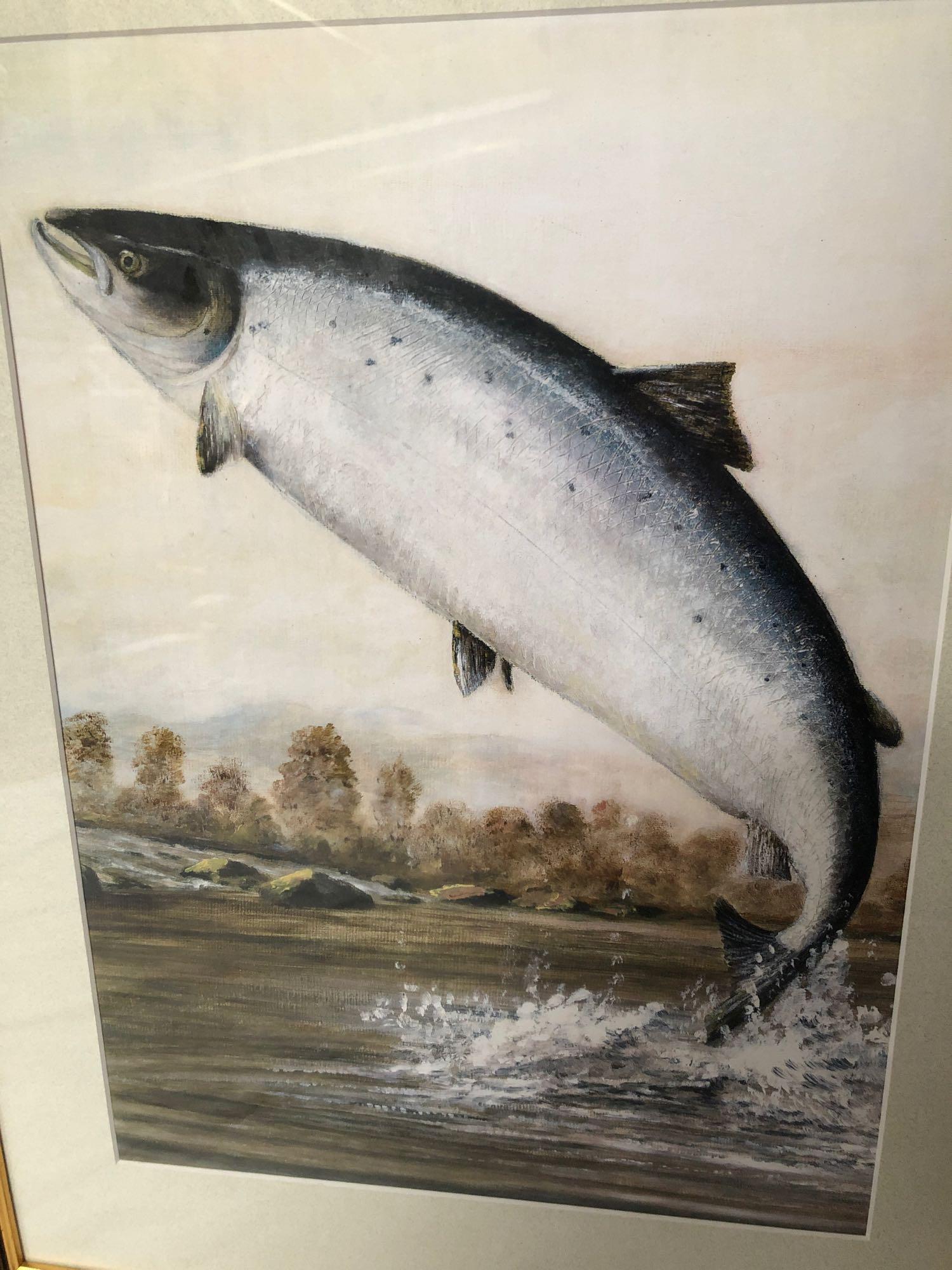 FRAMED PRINT LEAPING SALMON - Image 2 of 2