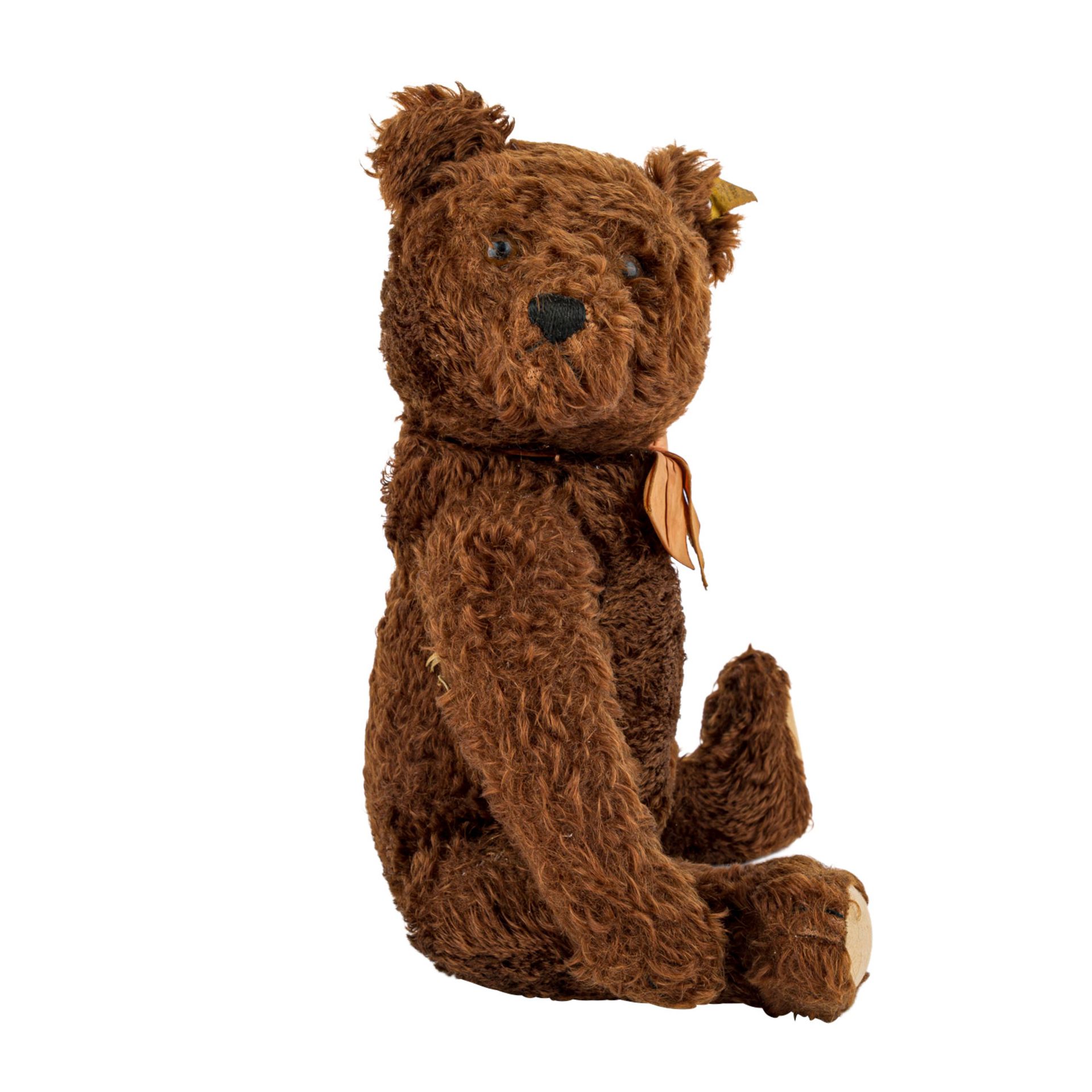 STEIFF Teddybär, 1950-1953."Original Teddy", Knopf mit "Steiff"-Aufschrift in Druckbuchstaben ohne - Bild 5 aus 6