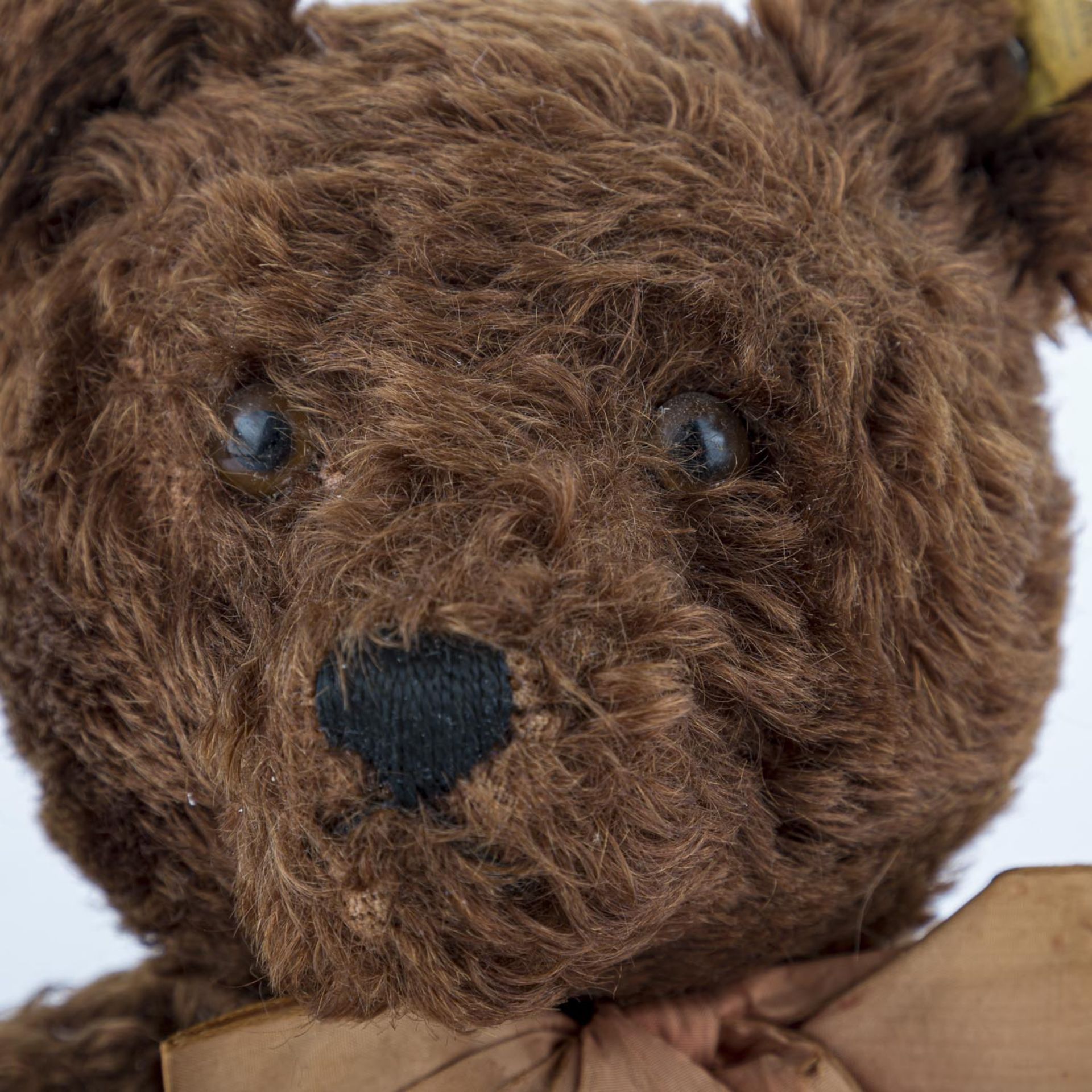 STEIFF Teddybär, 1950-1953."Original Teddy", Knopf mit "Steiff"-Aufschrift in Druckbuchstaben ohne - Bild 2 aus 6