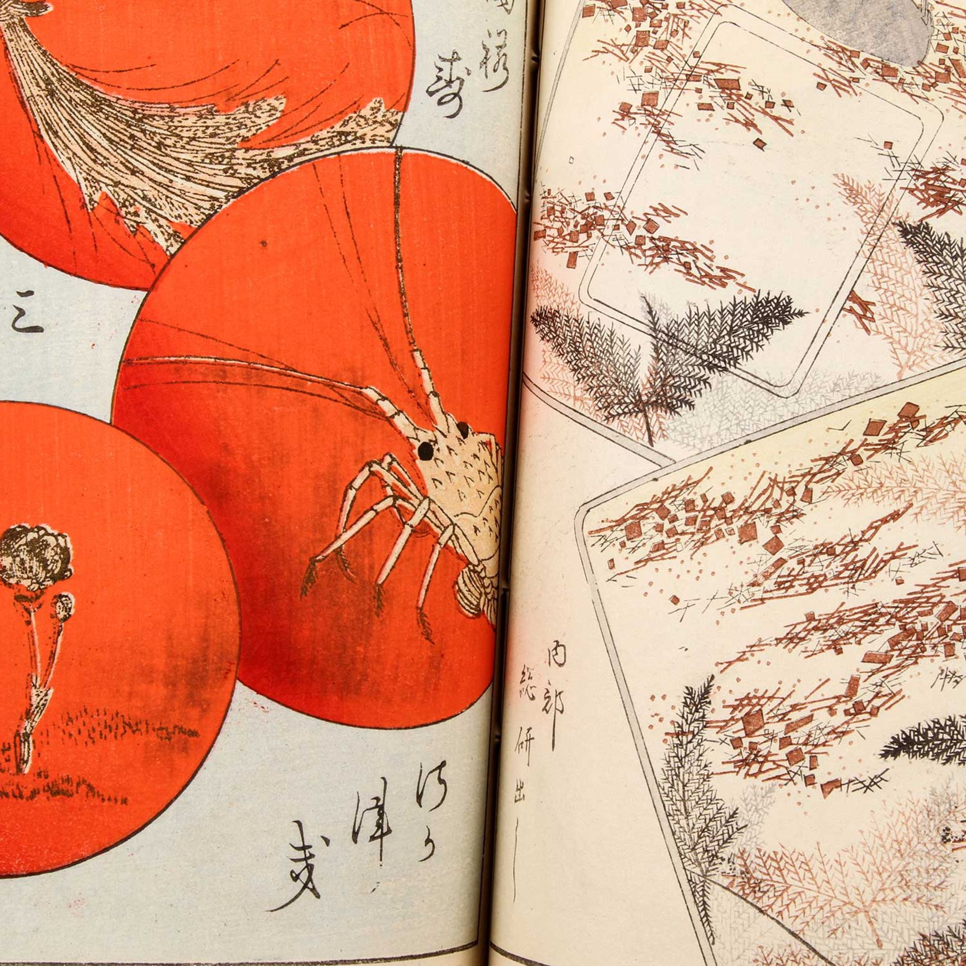 Konvolut von acht Musterbüchern. JAPAN, 1900-1938. U.a. zwei Bände SHIN-BIJUTSUKAI: - Image 6 of 9