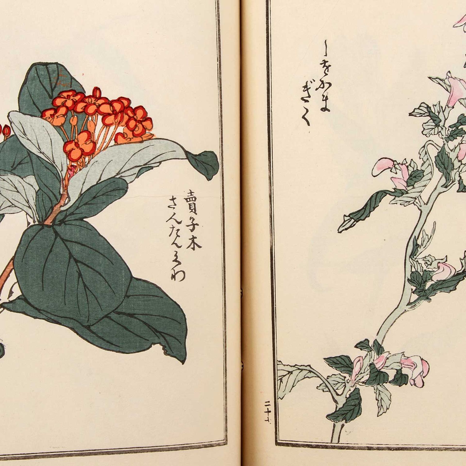 Konvolut von acht Musterbüchern. JAPAN, 1900-1938. U.a. zwei Bände SHIN-BIJUTSUKAI: - Image 7 of 9