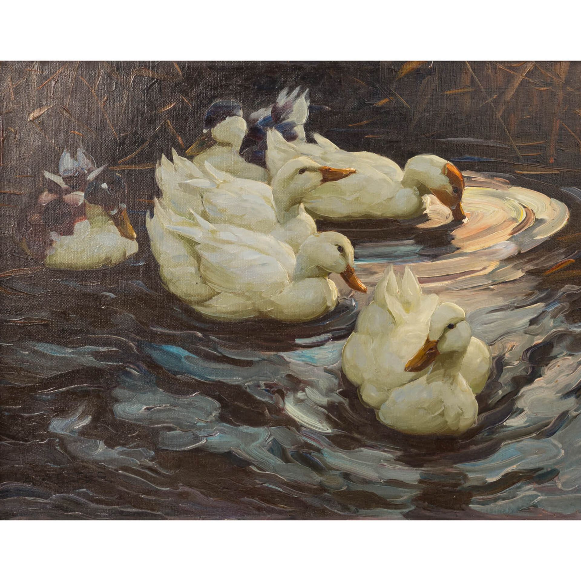 KOESTER, ALEXANDER (1864-1932) "Enten im Teich"