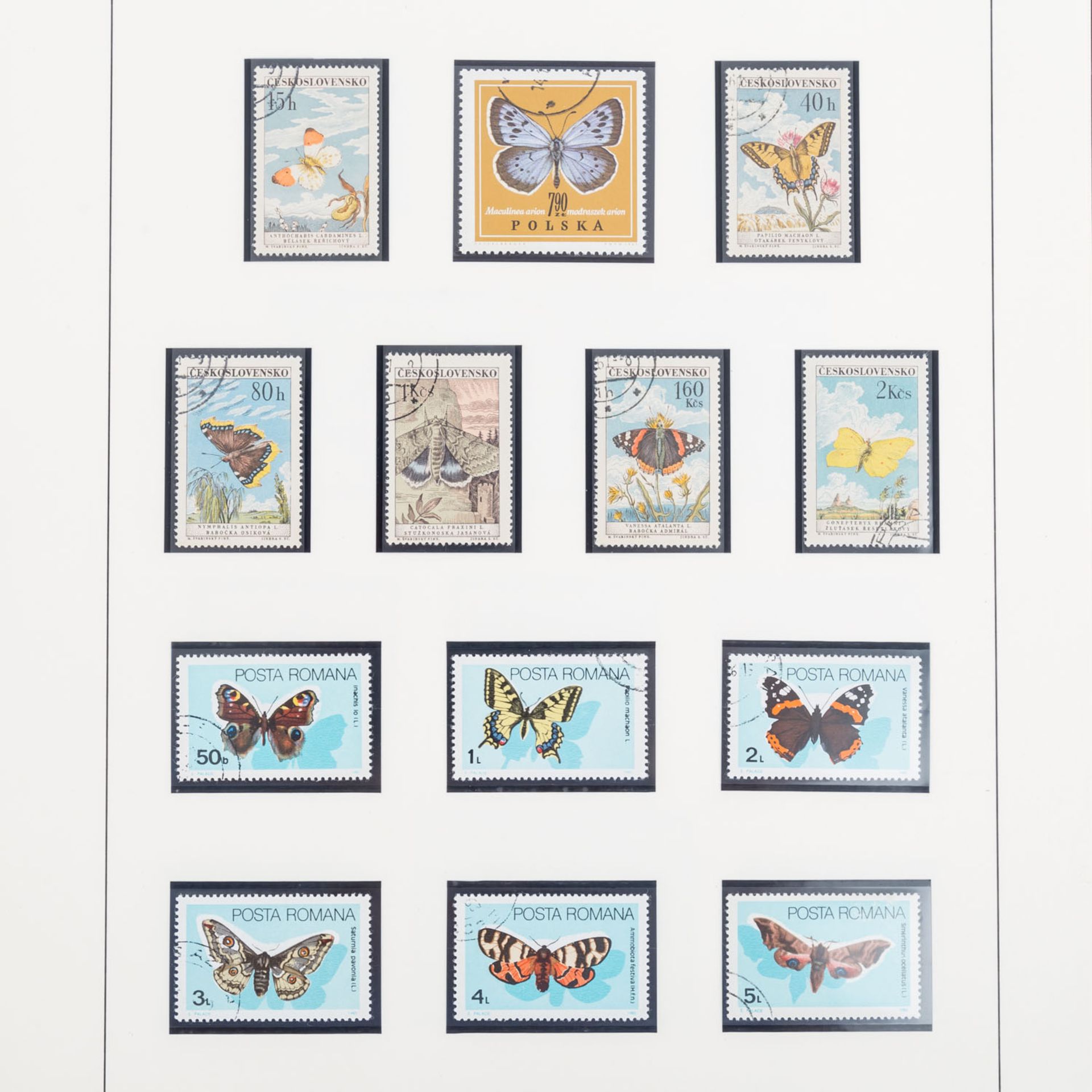 Motive Schmetterlinge - Sehr schöne Sammlung< - Bild 4 aus 5