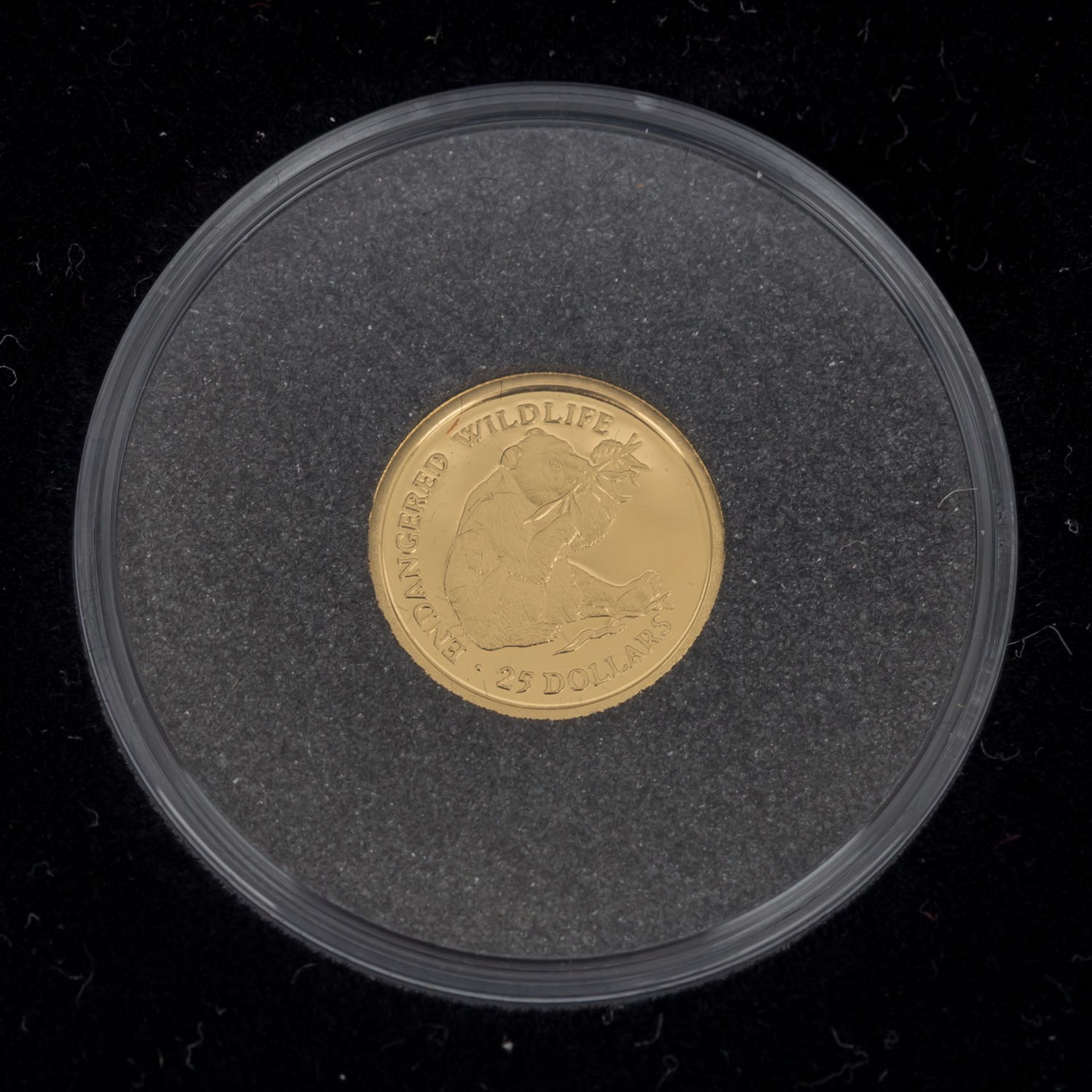 Cook Inseln - 12 x 25 Dollars in Gold,Endangered Wildlife, ca. 14,9 Gramm Gold fein, in - Bild 11 aus 15