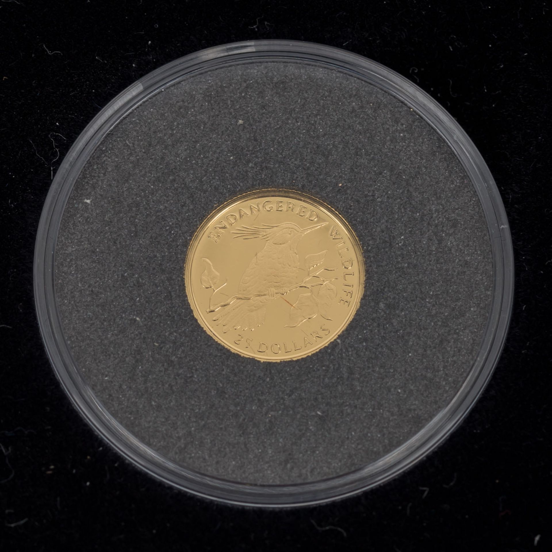 Cook Inseln - 12 x 25 Dollars in Gold,Endangered Wildlife, ca. 14,9 Gramm Gold fein, in - Bild 15 aus 15