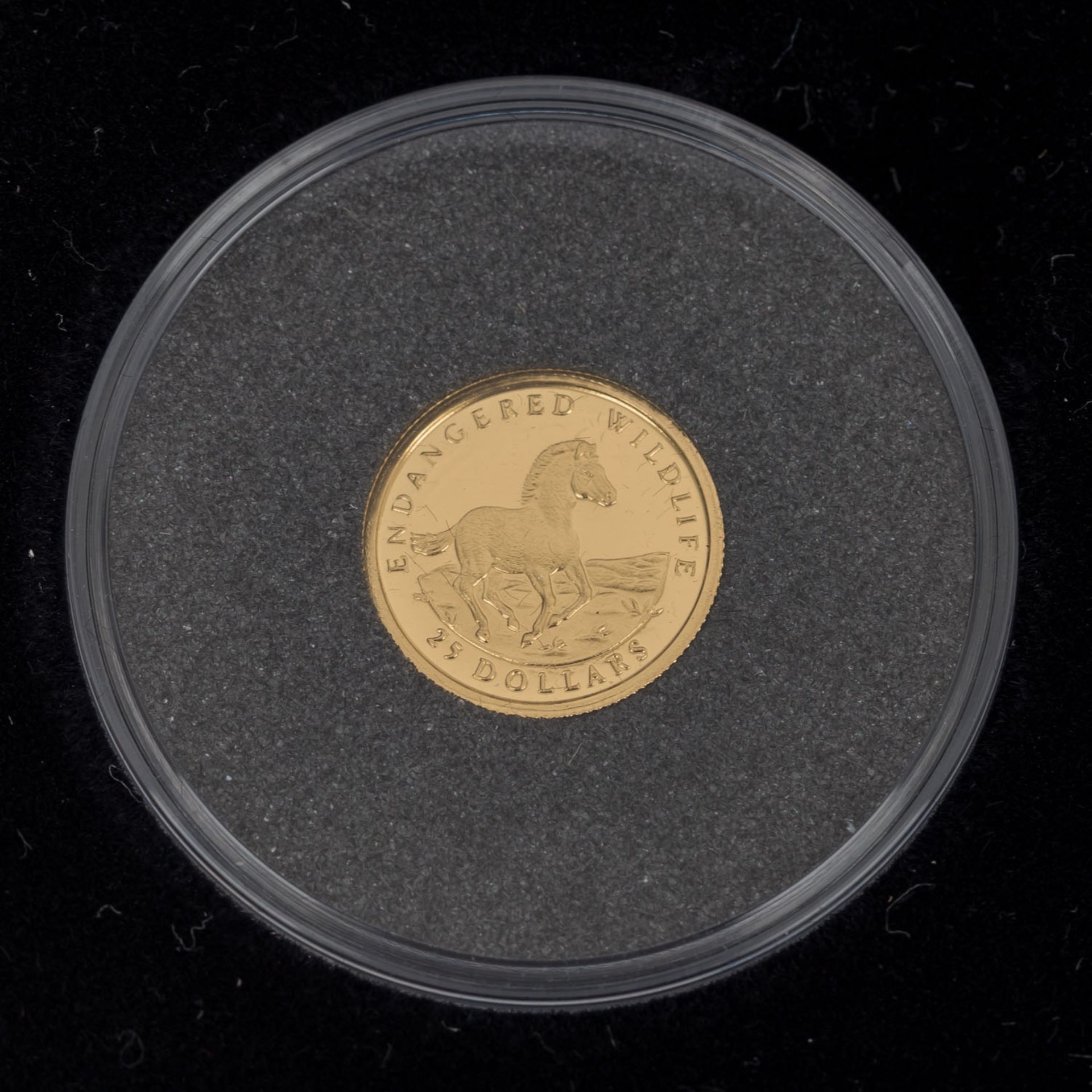 Cook Inseln - 12 x 25 Dollars in Gold,Endangered Wildlife, ca. 14,9 Gramm Gold fein, in - Bild 13 aus 15