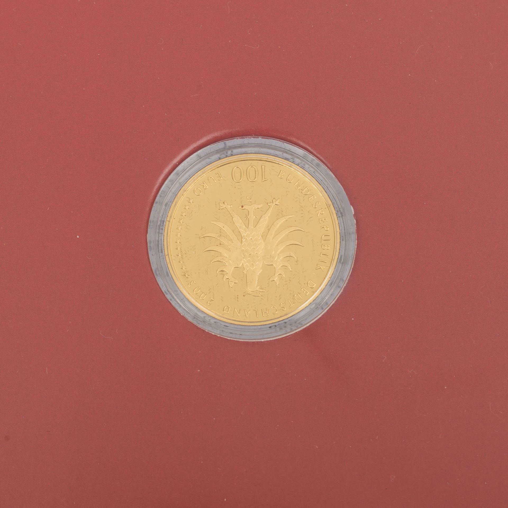 BRD/GOLD - 11 x 100 Euro in Gold als Numisblätterin 2 Alben. Bestehend aus 2003 G Quedlinburg, - Bild 15 aus 24