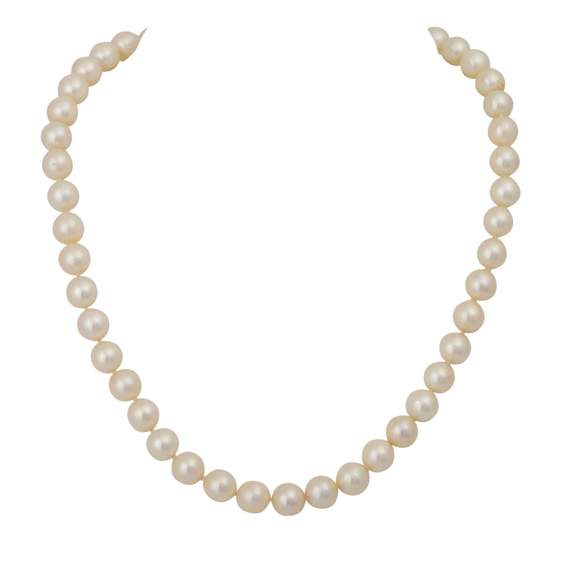 Akoya Perlenkette,Zuchtperlen ca. 8,1-8,2 mm, Schließe WG 14K mit kl. Rubinen, L: ca. 42 cm, 2. H.