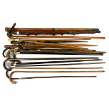 Twenty-two walking sticks/riding crops/whips to include carved wood dogs head, tripod and another