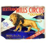 Bertram Mills Circus at Olympia - 'King Tuffy', the wire walking lion, original hand painted