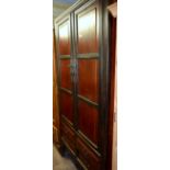 Chinese stained elm and ebonised cupboard with two panelled doors over four drawers, on square