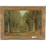 David Mead, Woodland landscapes, signed, oil on board (2).