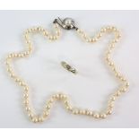 Cultured pearl necklace, cream pearls, 6mm in diameter, strung with knots, 14 ct white gold clasp,