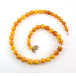 Amber necklace, graduated round beads, largest bead measuring 13mm in diameter, strung without
