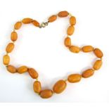1920's amber bead necklace, largest bead 2.5 x 1.6cm, strung with knots, gilt metal bolt ring clasp,