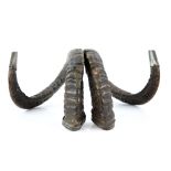 Pair of 19th century pewter mounted ram's horn snuff mulls, 15cm high,. .