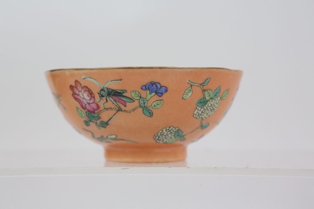A pair of coral ground, famille rose bowls, each one decorated with insects and floral designs, 9. - Image 4 of 14
