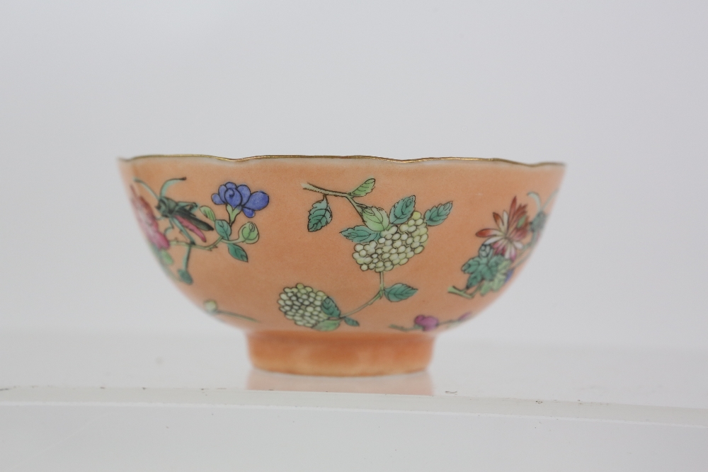 A pair of coral ground, famille rose bowls, each one decorated with insects and floral designs, 9. - Image 9 of 14