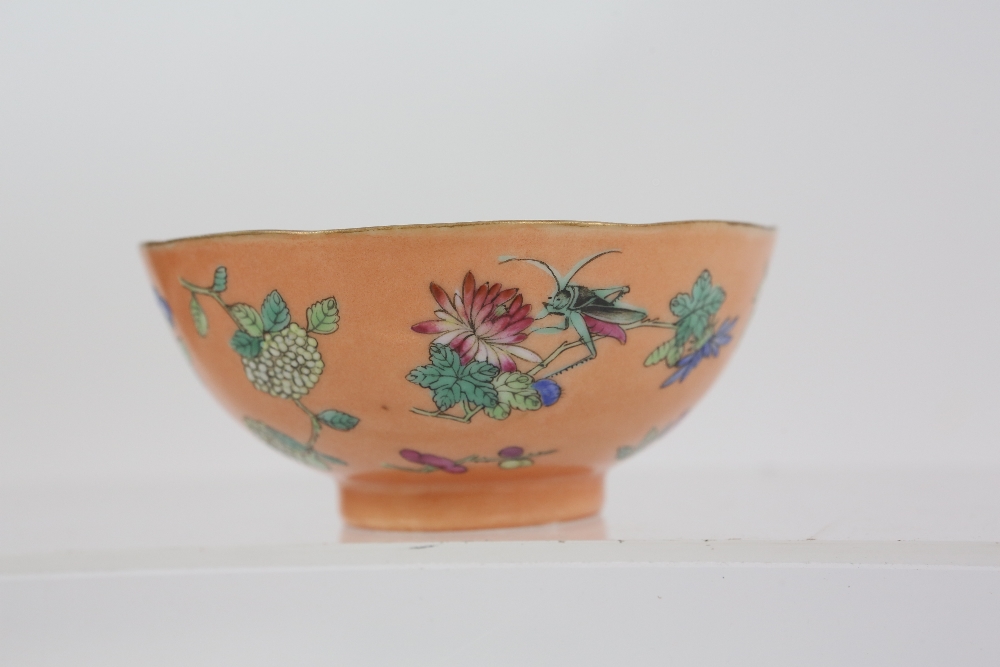 A pair of coral ground, famille rose bowls, each one decorated with insects and floral designs, 9. - Image 5 of 14
