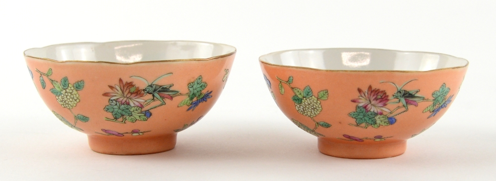 A pair of coral ground, famille rose bowls, each one decorated with insects and floral designs, 9.