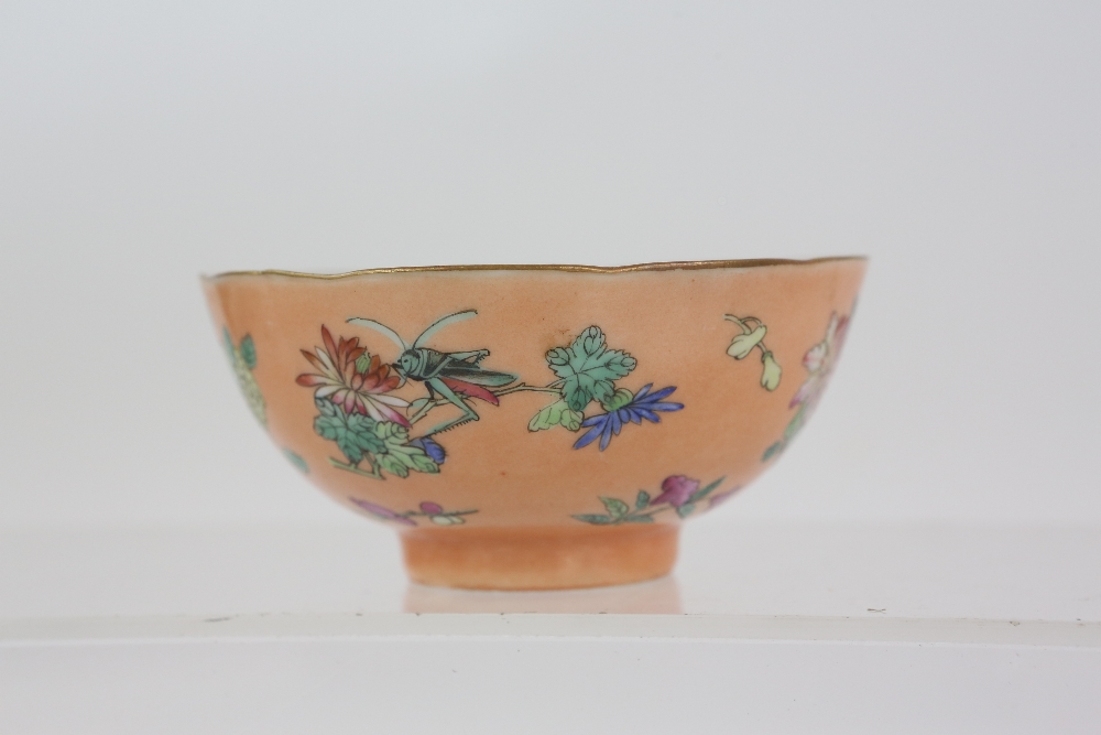 A pair of coral ground, famille rose bowls, each one decorated with insects and floral designs, 9. - Image 10 of 14