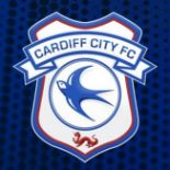 Cardiff City Football Club - Home shirt from 2019/20 signed by the squad.There is no buyers