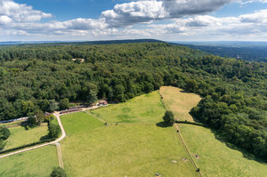 Holly Cottage - A four night stay in the holiday cottage on the farm, Holly Cottage (www.