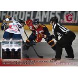 Guildford Flames Ice Hockey - Use of a corporate hospitality box for up to 15 people at a