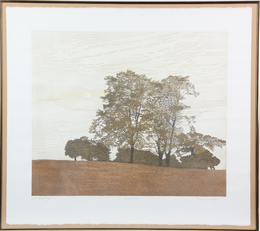 Phil Greenwood (British, b.1943) Artists Proof. Heath trees, signed in pencil, dated 78, 45cm x - Image 2 of 3