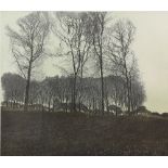 Phil Greenwood (British, b.1943) Limited edition print 'Winter Light', signed in pencil dated 78,