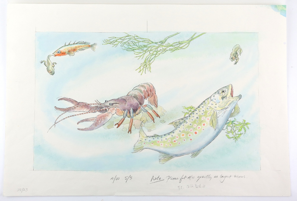 Barbara Firth (1928-2013), trout and a crayfish, illustration from Leapfrog written by William Mayne