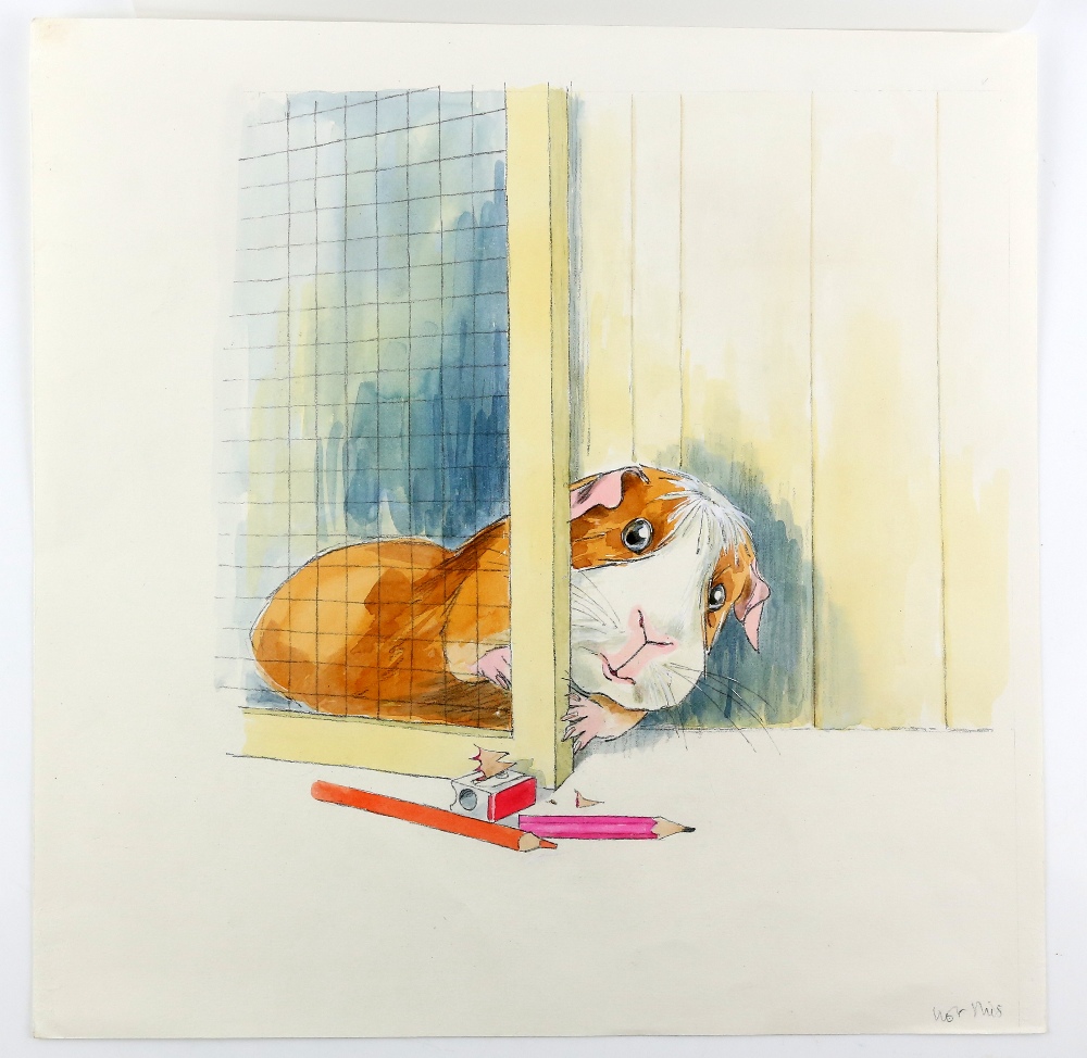 Barbara Firth (1928-2013), Barnabas the Guinea pig in his hutch, illustration for Barnabas Walks