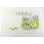 Barbara Firth (1928-2013), lily pond with two tadpoles flowers and catkins, illustration from