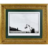 Linda McCartney (1941-1998) - Platinum print - The Stallion and the Standing Stone - Image of a