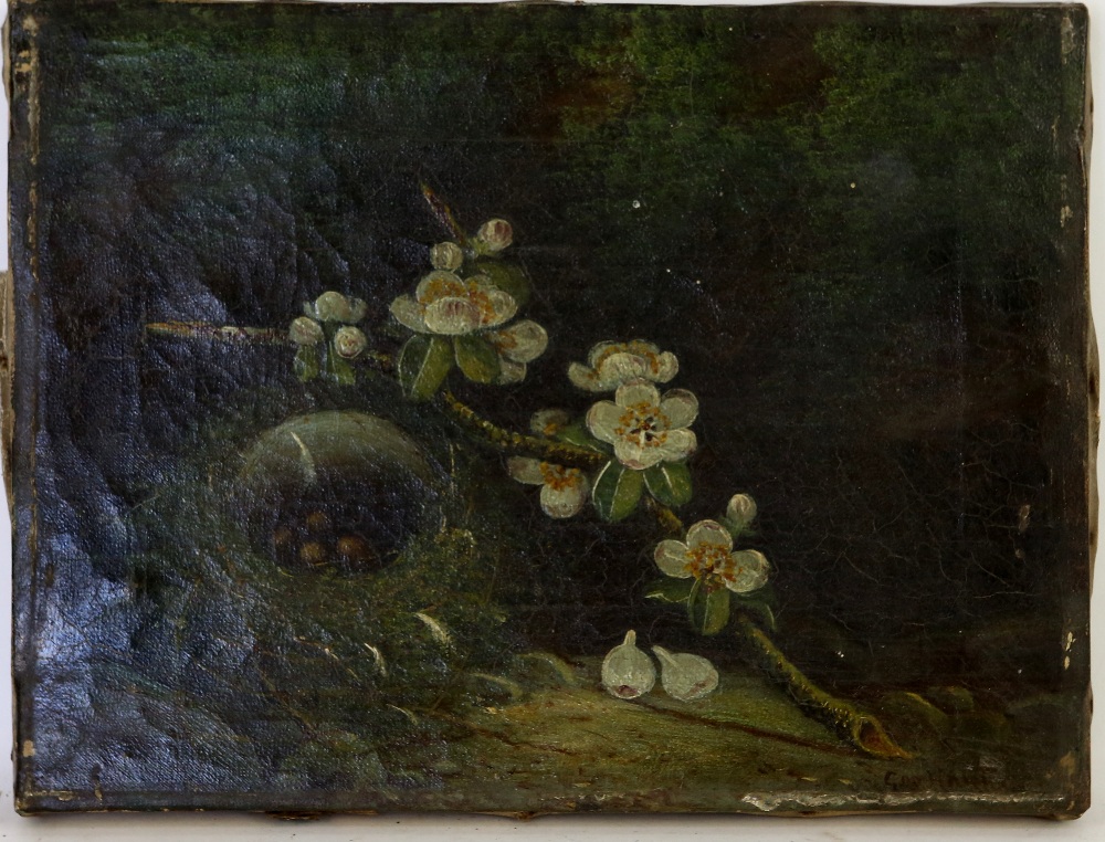 Oil on canvas of bird's nest with eggs and a branch with flowers, indistinctly signed lower right,