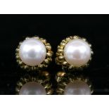Tiffany & Co. Schlumberger acorn earrings: stud earrings featuring Akoya pearls nestled in 18 ct