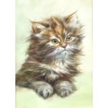20th century, English School, study of a kitten, signed with initials 'EAS', watercolour, 22.5cm x