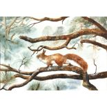 Roger Lee, British 20th century, red squirrel on a branch, signed, watercolour, 31cm x 45.5cm,
