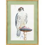 S Thomsett, 20th century, study of an adult Lanner Falcon on it's perch, signed and dated '85,